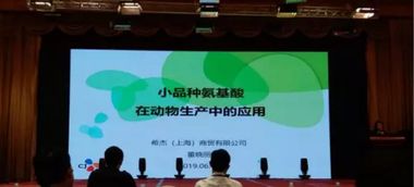 第十五屆泰山論壇 動物營養與飼料科學技術交流峰會2019圓滿落幕，技術轉讓成果豐碩