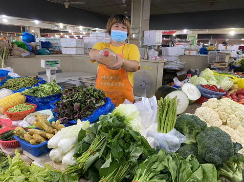 夏日冷鏈護(hù)航，松江城“菜籃子”新鮮度夏