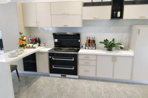 升級廚房四樣高級貨，凈水機讓生活更健康便捷